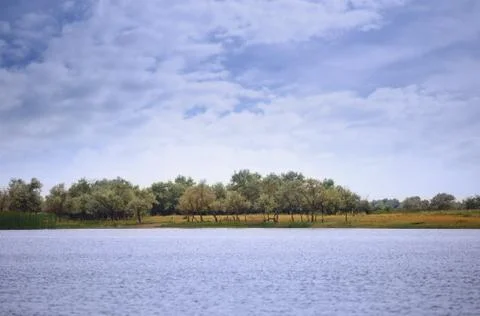 View on Rhine river with trees Stock Photos