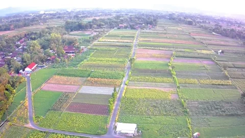 View of rice fields from above Video stock 293034711