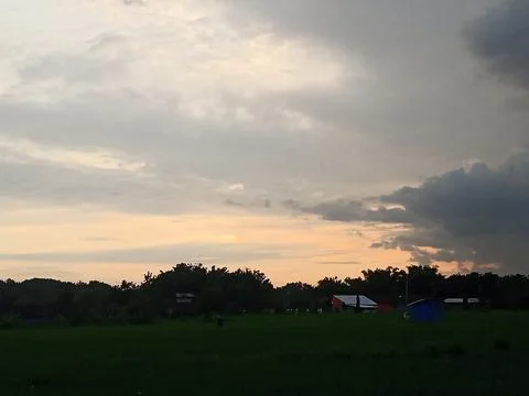 View of rice fields in the afternoon with a background of darkening clouds Stock Photos