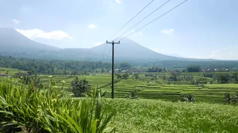 View of rice fields and mountains in motion 库存影片 65870370