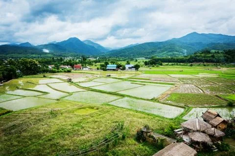 View of rice fields and mountains and hut in Wat Phuket Stock Photos