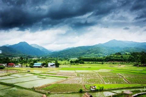 View of rice fields and mountains and hut in Wat Phuket Stock Photos