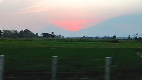 View of rice fields from behind the train window Stock Footage 252016009