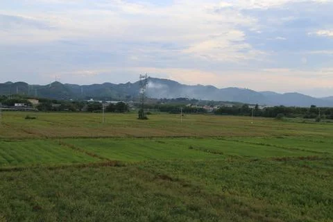 View of rice fields, with distant mountains and a city on the horizon. Stock Photos