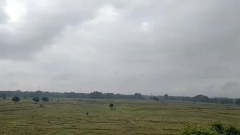 View of rice fields Stock Footage 331727578