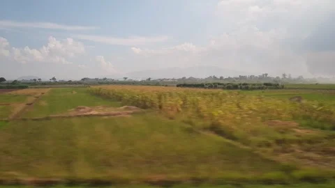 A view of rice fields from inside a moving train in the Southeast Asian cou.. Stock Footage 273267075