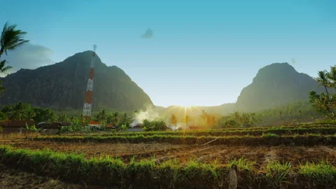 A view of rice fields in the late afternoon before sunset, timelapse Stock Footage 249759761