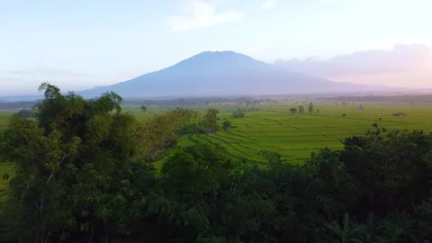 View of rice fields with Mount Lawu in the background which is very beautiful Stock Footage 285999625