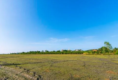 View, rice fields, mountains, sky, Lop Buri Province, Thailand Stock Photos