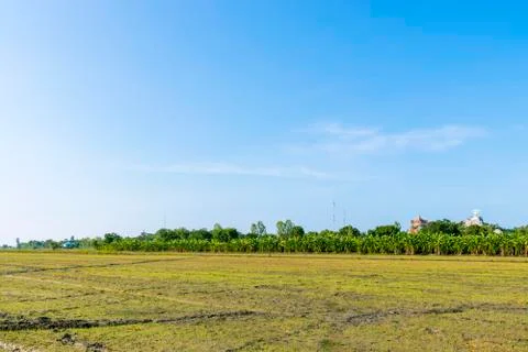 View, rice fields, mountains, sky, Lop Buri Province, Thailand Stock Photos