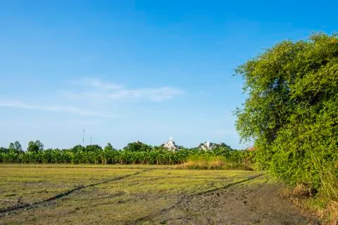 View, rice fields, mountains, sky, Lop Buri Province, Thailand Stock Photos