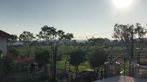 View of the rice fields from the top of the mosque after Eid prayer Vidéo 199763813