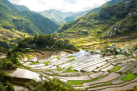 View of the rice terraces and Batad village. UNESCO list Stock Photos