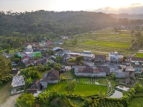 View of rice terraces and distant volcanoes in Java, Indonesia at sunset Stock Photos