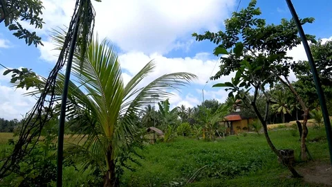 View of rice terraces in indonesia Stock Footage 106556579