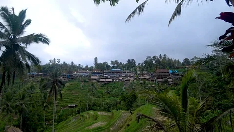 View of rice terraces in indonesia Stock Footage 106559127