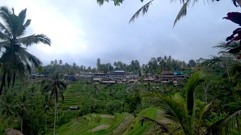 View of rice terraces in indonesia Stock Footage 106559198