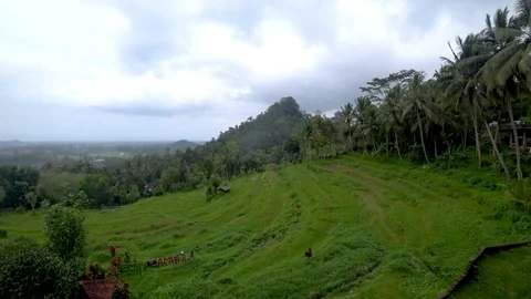 View of rice terraces in indonesia Stock Footage 106559535