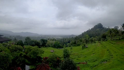 View of rice terraces in indonesia Stock Footage 106559586