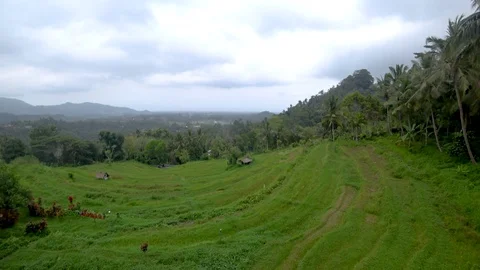 View of rice terraces in indonesia Stock Footage 106559704