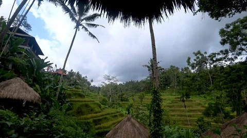 View of rice terraces in indonesia Stock Footage 106559832