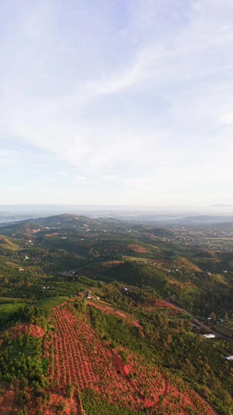 View the rich greenery of Lam Dong, Vietnam, as the camera (Tilt) showcases 스톡 동영상 331009147