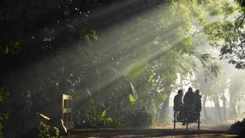 View of a rickshaw on a misty road with sunbeams, Bangladesh. Video stock 335550792