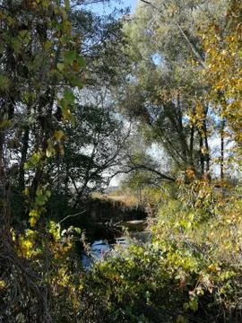 View from riding-path upper the river. Stock-Fotos