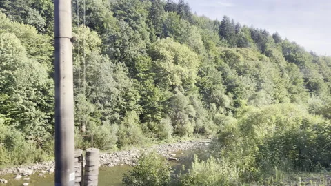 View from riding train window on amazing nature panorama, dense forest, sunshine Stock Footage 303366364