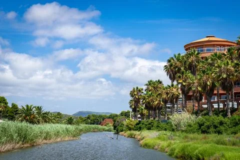 View of Riera de Ribes with palm trees on the riverbank and a building Stock Photos