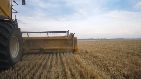 View from right side of combine working in grain field. Harvester slowly riding Vidéo 335818173