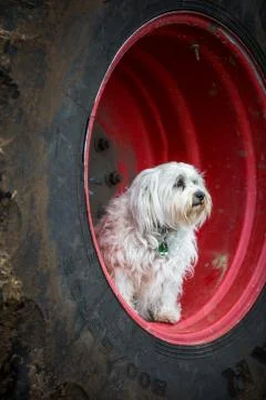 View from the rim Stock Photos