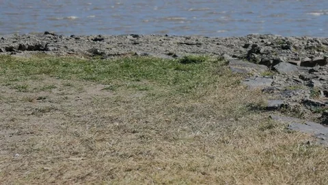 View of the Rio de la Plata from Colonia del Sacramento. Stock Footage 85302777