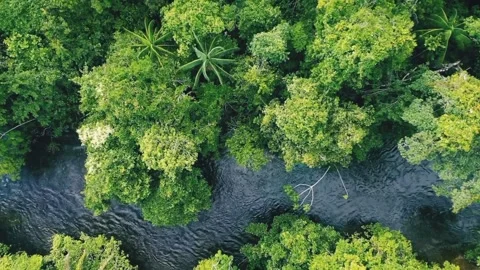 View of the river from above Stock Footage 218037561