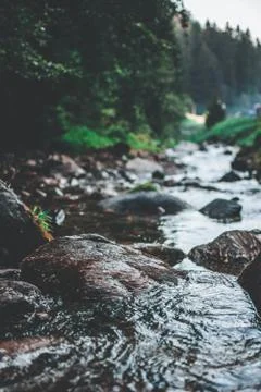 View on a river in alps Stock Photos