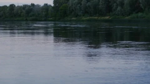 The view of river and forest landscapes in Russia Stock Footage 253214541