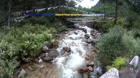 View of river and nature in Bhutan Stock-Footage 247327862