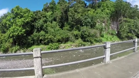 The view of the river and rainforest from car in dominica 스톡 동영상 84240856