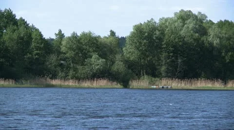 View of river and trees Видео 20523832