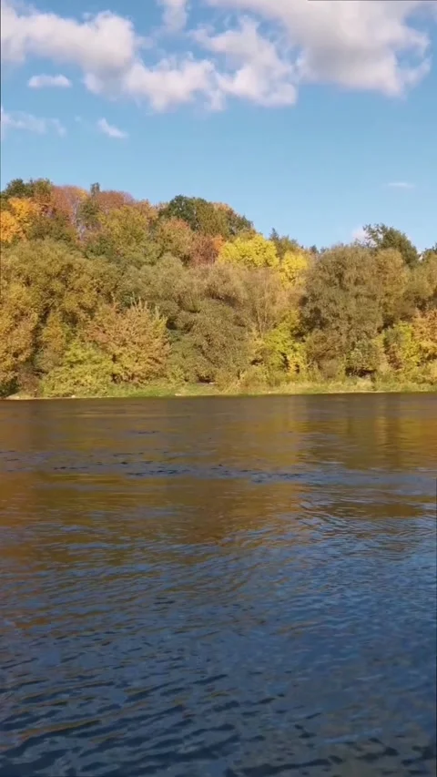 View of river in autumn. Stock Footage 330062283