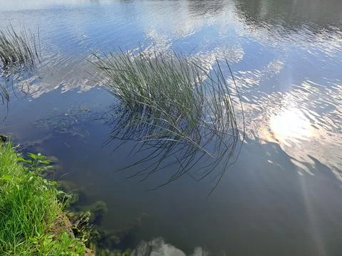 View of the river from the bank Stock Photos