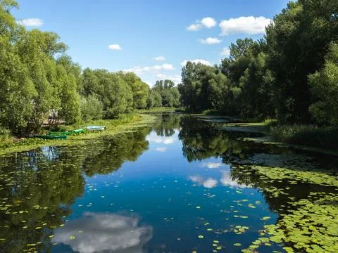 View of the river bay Stock Photos