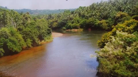 View of river between the greenery Stock Photos