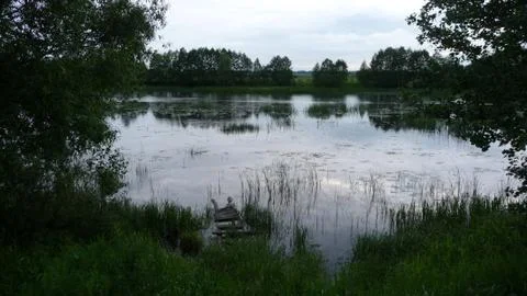 View of the river between the trees. Foto stock