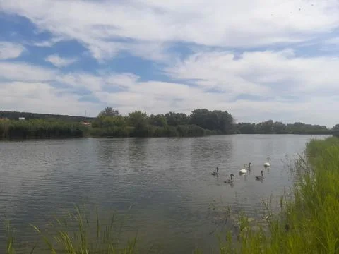 View of the river with a bridge Foto stock