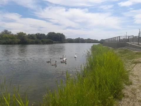 View of the river with a bridge Foto stock