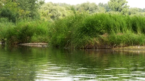 A view of the river in cloudy weather. Stock Footage 114074349