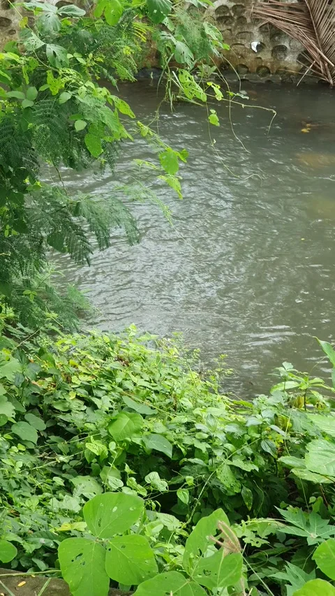 View of the river current seen from above Stock Footage 330401248