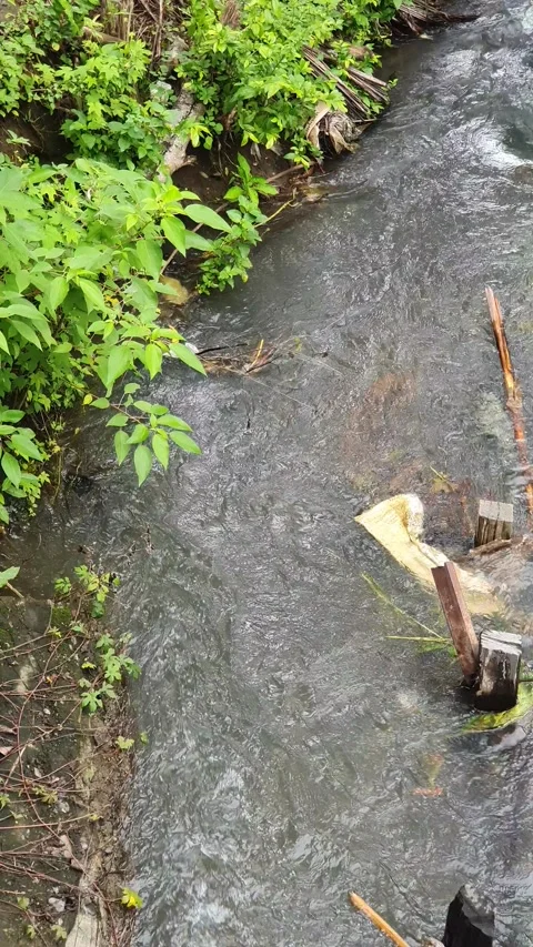 View of the river current seen from above Stock Footage 330402782