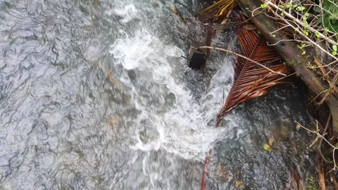 View of the river current seen from above Video stock 330403452
